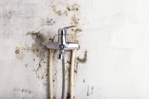 Best Mold Removal Near Me  in Mukwonago, WI
