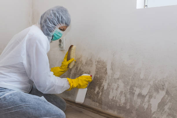 Best Mold Removal and Inspection  in Mukwonago, WI