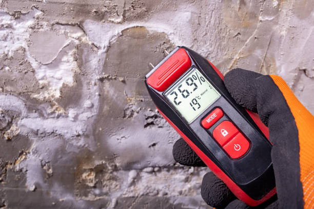 Best Attic Mold Removal  in Mukwonago, WI