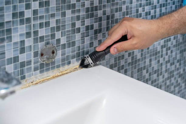 Best Mold Testing  in Mukwonago, WI