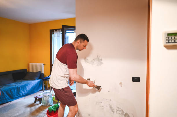 Best Attic Mold Removal  in Mukwonago, WI