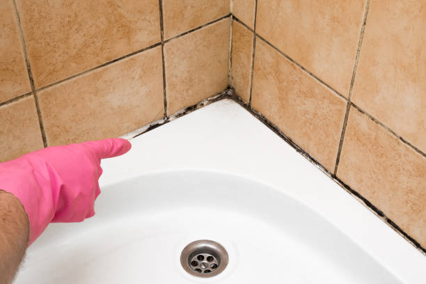 Best Crawl Space Mold Removal  in Mukwonago, WI